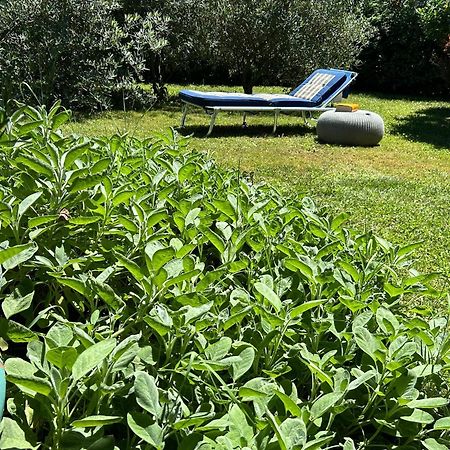 Golden Hill - Big Rooms With Kitchen And Garden Collina d'Oro Εξωτερικό φωτογραφία